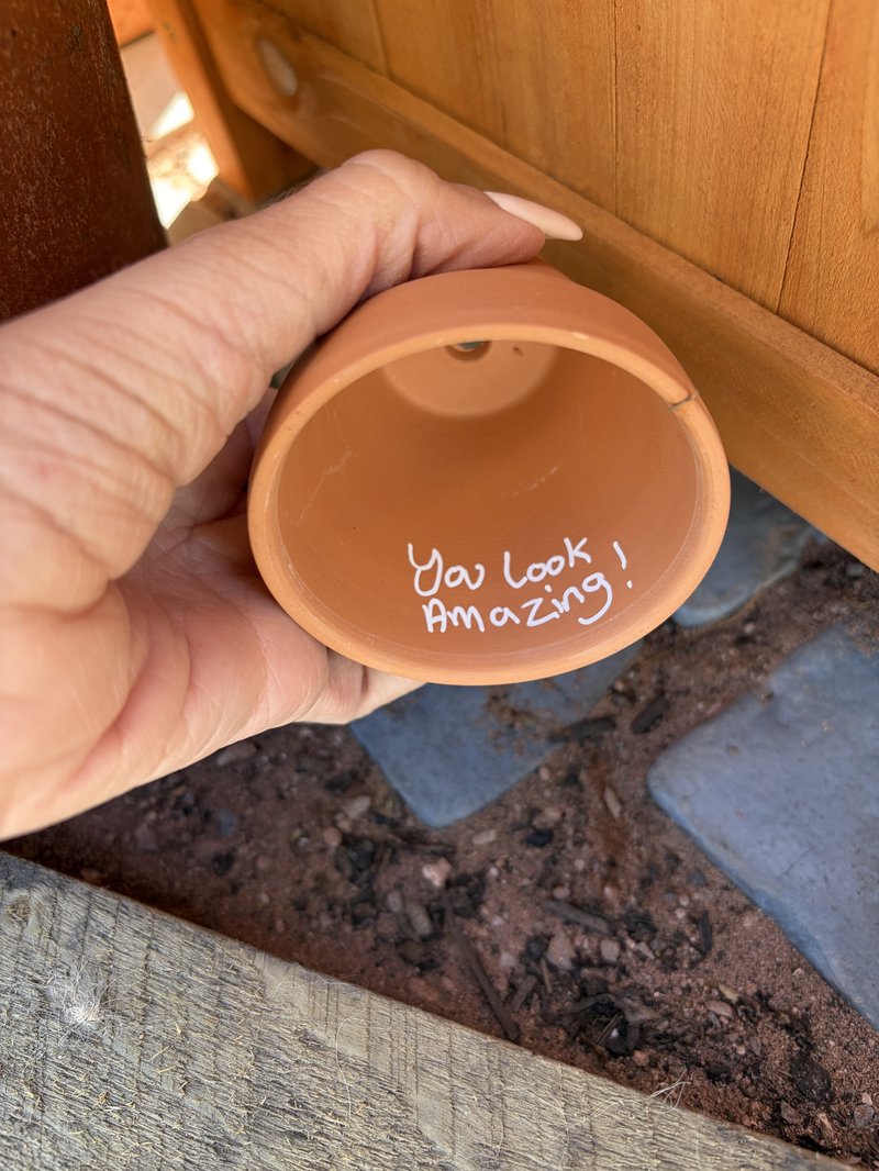 Hand holding up a small flowerpot, with writing in it reading 'You look amazing!'