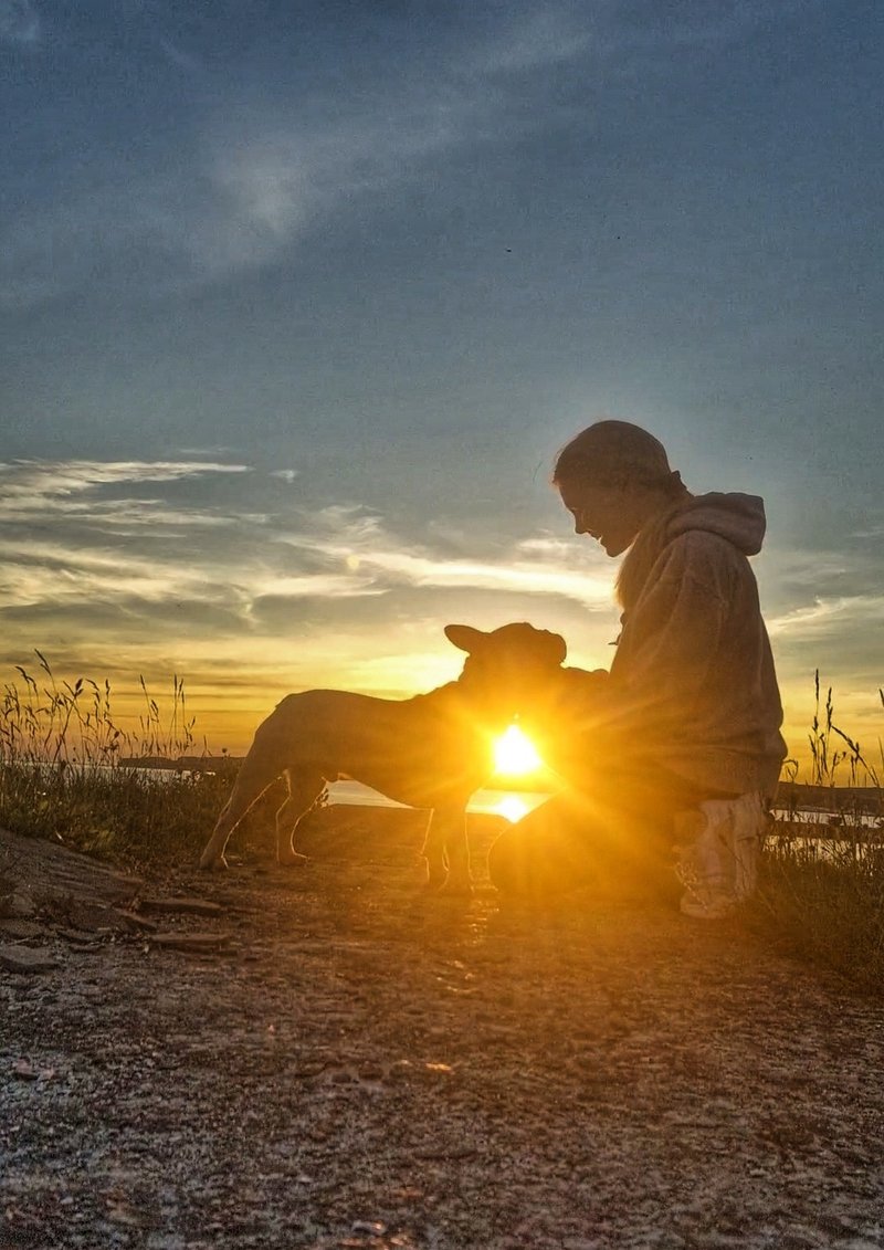 Photo of a young woman kneeling on a beach, with her bands cupping a dog&#x27;s face. There is a sunset behind them.