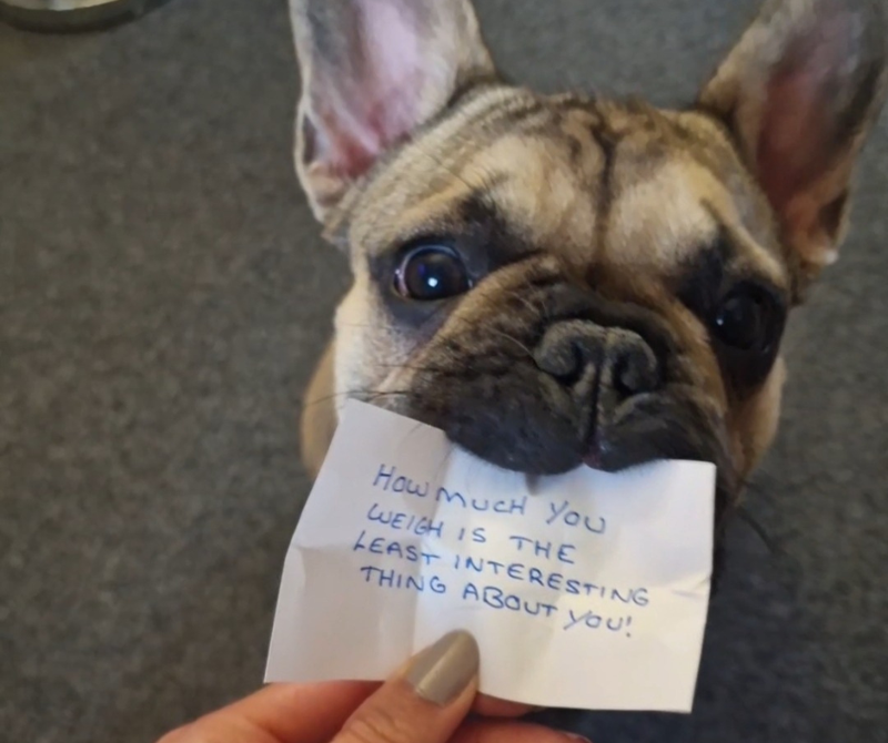 Photo of a small brown dog with large ears holding a piece of paper in their mouth. This reads &#x27;how much you weigh is the least interesting thing about you!&#x27;